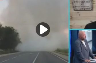 Юрий Подоляка дневная сводка с фронта 5.07.2022